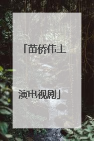 苗侨伟主演电视剧