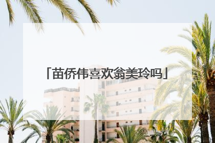 苗侨伟喜欢翁美玲吗