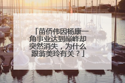 苗侨伟因杨康一角事业达到巅峰却突然消失,为什么跟翁美玲有关?