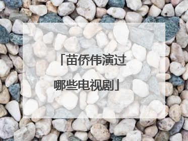 苗侨伟演过哪些电视剧