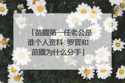 苗圃第一任老公是谁个人资料 罗晋和苗圃为什么分手