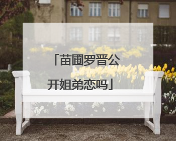 苗圃罗晋公开姐弟恋吗