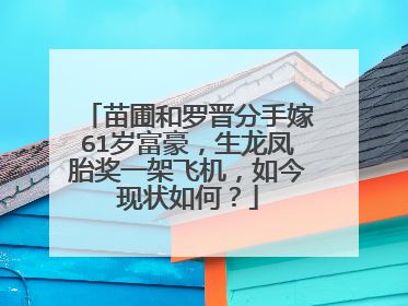 苗圃和罗晋分手嫁61岁富豪，生龙凤胎奖一架飞机，如今现状如何？