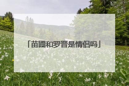 苗圃和罗晋是情侣吗