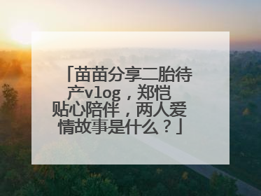 苗苗分享二胎待产vlog，郑恺贴心陪伴，两人爱情故事是什么？