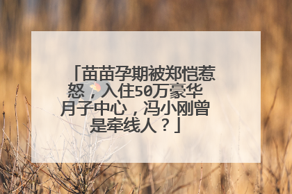 苗苗孕期被郑恺惹怒,入住50万豪华月子中心,冯小刚曾是牵线人?