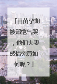 苗苗孕期被郑恺气哭,他们夫妻感情究竟如何呢?