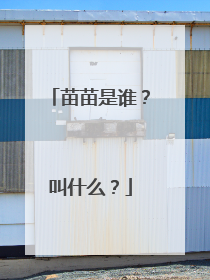 苗苗是谁？叫什么？