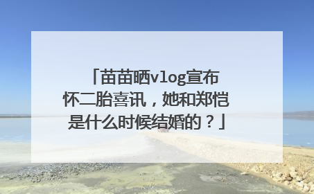 苗苗晒vlog宣布怀二胎喜讯，她和郑恺是什么时候结婚的？