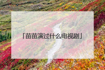 苗苗演过什么电视剧