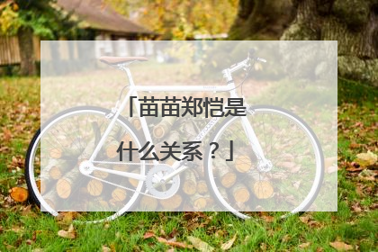 苗苗郑恺是什么关系?