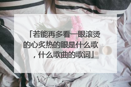 若能再多看一眼滚烫的心炙热的眼是什么歌,什么歌曲的歌词
