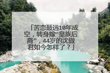 苦恋聂远10年成空，转身嫁“皇族后裔”，44岁的沈傲君如今怎样了？