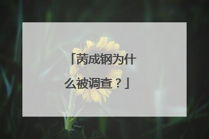 苪成钢为什么被调查?