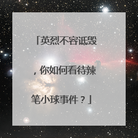 英烈不容诋毁，你如何看待辣笔小球事件？