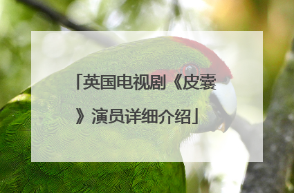 英国电视剧《皮囊》演员详细介绍