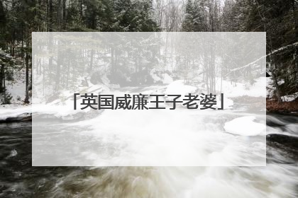 英国威廉王子老婆