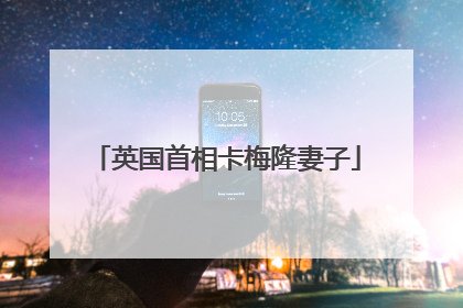 英国首相卡梅隆妻子