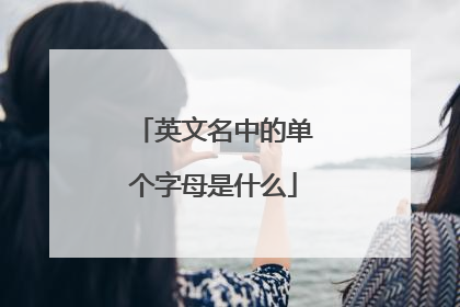 英文名中的单个字母是什么