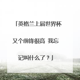 英格兰上届世界杯又个前锋很高 我忘记叫什么了？