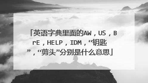 英语字典里面的AW,US,BrE,HELP,IDM,“钥匙”,“剪头”分别是什么意思