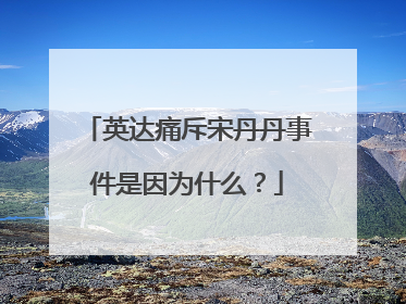 英达痛斥宋丹丹事件是因为什么？