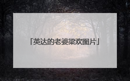 英达的老婆梁欢图片