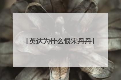 英达为什么恨宋丹丹