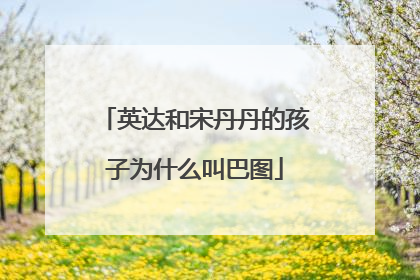 英达和宋丹丹的孩子为什么叫巴图