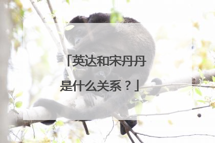 英达和宋丹丹是什么关系？