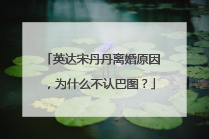 英达宋丹丹离婚原因,为什么不认巴图?