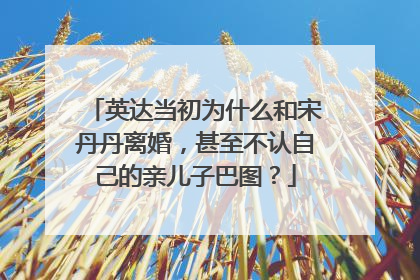 英达当初为什么和宋丹丹离婚,甚至不认自己的亲儿子巴图?