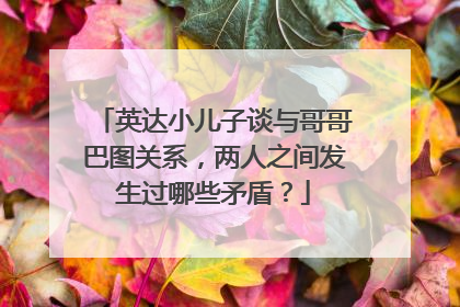 英达小儿子谈与哥哥巴图关系,两人之间发生过哪些矛盾?