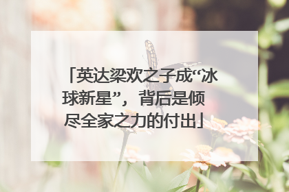 英达梁欢之子成“冰球新星”, 背后是倾尽全家之力的付出