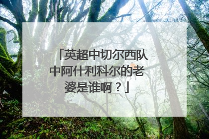 英超中切尔西队中阿什利科尔的老婆是谁啊？