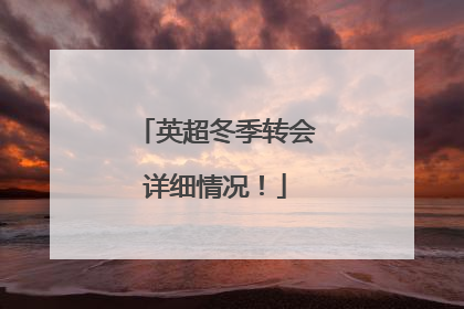 英超冬季转会详细情况!