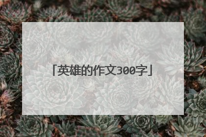 英雄的作文300字