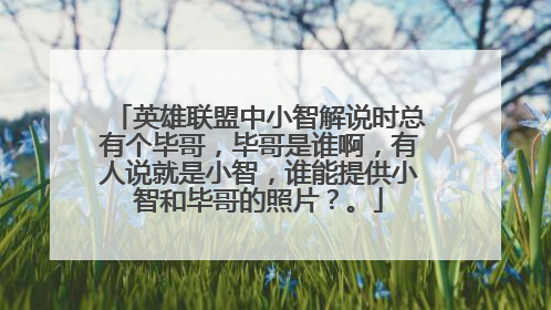 英雄联盟中小智解说时总有个毕哥,毕哥是谁啊,有人说就是小智,谁能提供小智和毕哥的照片?。