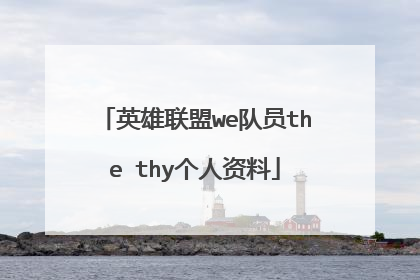 英雄联盟we队员the thy个人资料