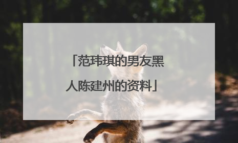 范玮琪的男友黑人陈建州的资料