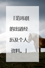 范玮琪的出道经历及个人资料。