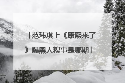 范玮琪上《康熙来了》曝黑人糗事是哪期