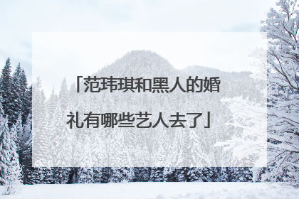 范玮琪和黑人的婚礼有哪些艺人去了