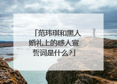 范玮琪和黑人婚礼上的感人宣誓词是什么?