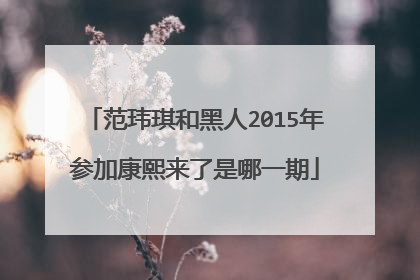 范玮琪和黑人2015年参加康熙来了是哪一期