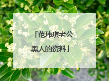 范玮琪老公黑人的资料