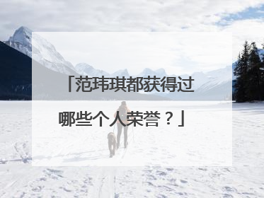 范玮琪都获得过哪些个人荣誉？