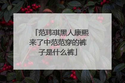 范玮琪黑人康熙来了中范范穿的裤子是什么裤