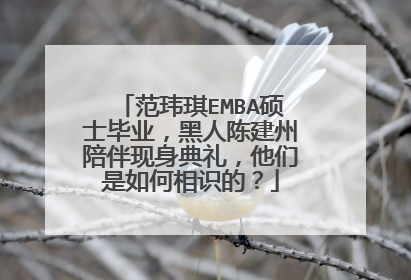 范玮琪EMBA硕士毕业,黑人陈建州陪伴现身典礼,他们是如何相识的?