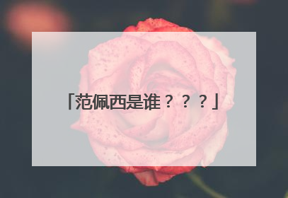 范佩西是谁？？？